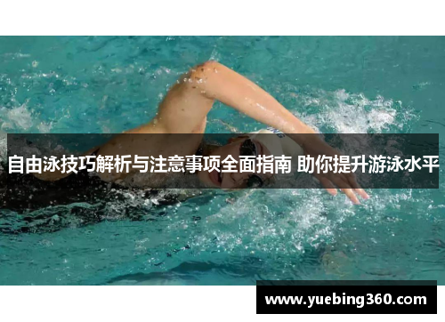 自由泳技巧解析与注意事项全面指南 助你提升游泳水平